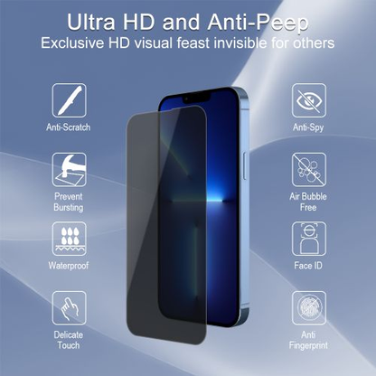 iPhone 13 Pro Max Privacy Tempered